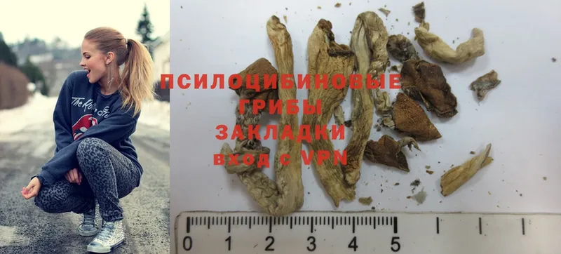 Галлюциногенные грибы Magic Shrooms  дарк нет официальный сайт  OMG ССЫЛКА  Куровское  купить  сайты 